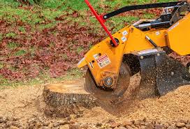 Best Lawn Mowing  in Cupertino, CA